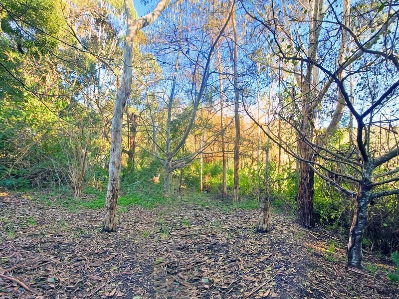 19 Tregarthen Rd, Summertown SA 5141