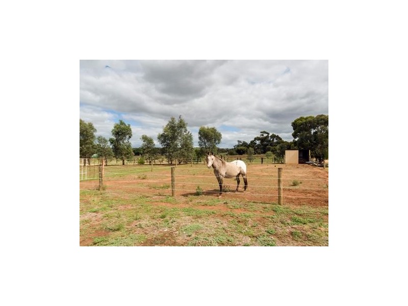 10/12 East Terrace, Callington SA 5254