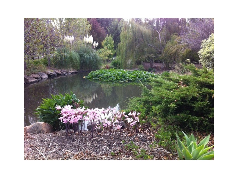 51 Woodside Road, Lobethal SA 5241