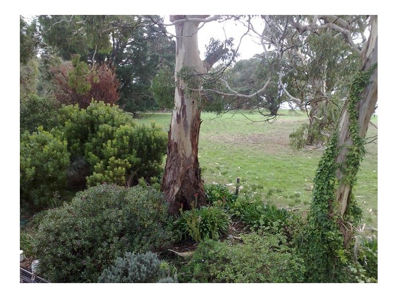 51 Woodside Road, Lobethal SA 5241