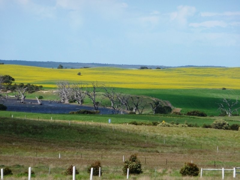 179 Farm Beach Road, Wangary SA 5607