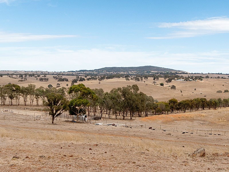 362 Sawpit Gully Rd, Kanmantoo SA 5252