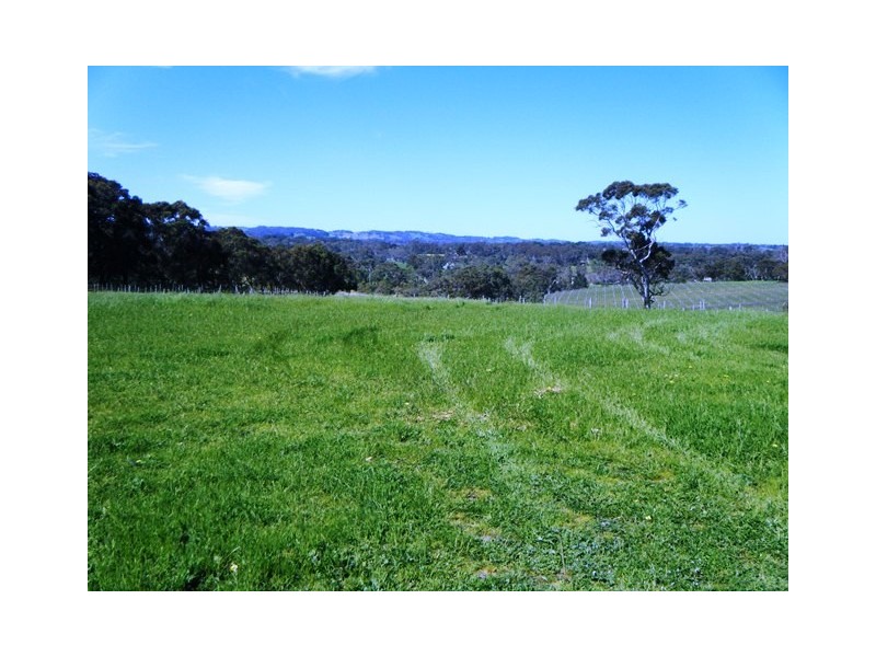 225 Berry Road, Echunga SA 5153