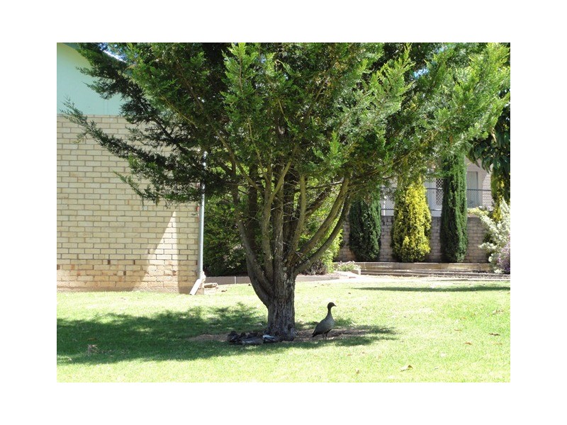 113 Old Princes Highway, Nairne SA 5252