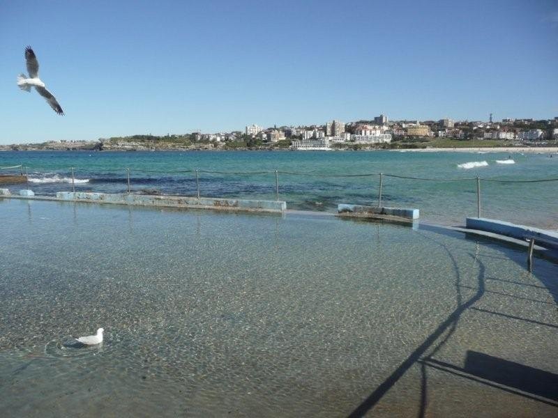 40 Hall Street, Bondi Beach NSW 2026