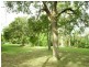 Albany Creek QLD 4035