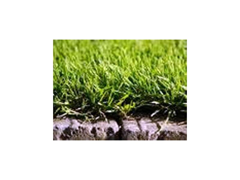 North Lakes QLD 4509