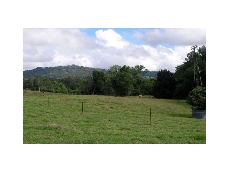 184 Palmwoods Montville Road, Palmwoods QLD 4555