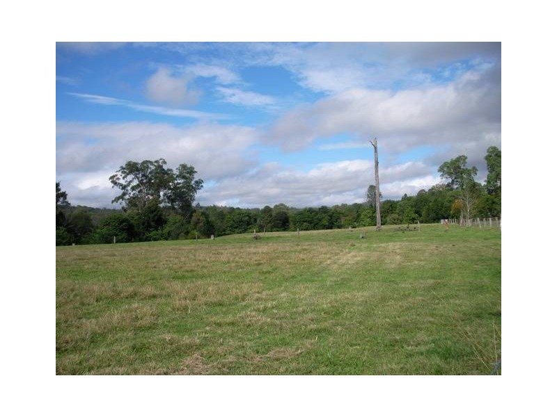 184 Palmwoods Montville Road, Palmwoods QLD 4555