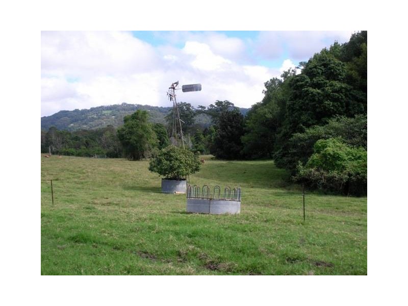 184 Palmwoods Montville Road, Palmwoods QLD 4555