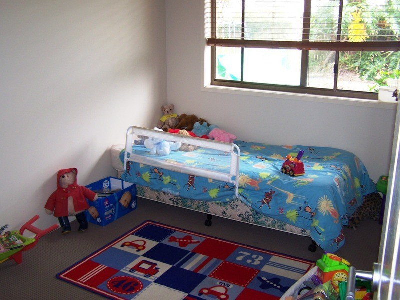 17 Mallawa Street, Buddina QLD 4575