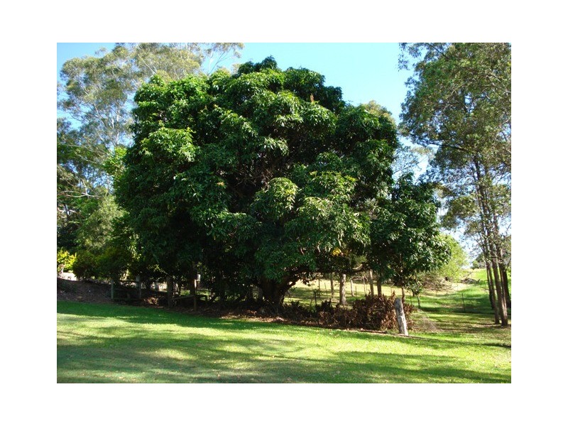 88 Rainforest Road, Chevallum QLD 4555