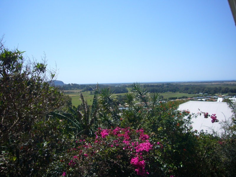 39 Willis Road, Bli Bli QLD 4560