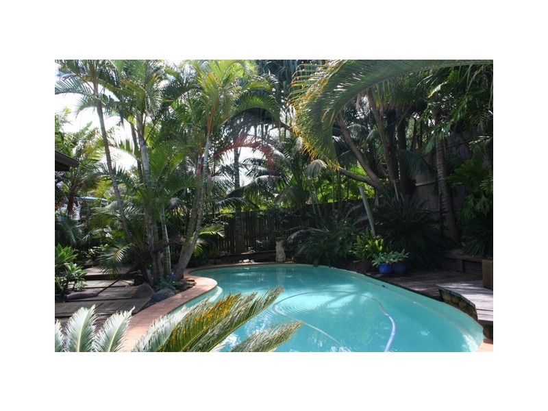 43 Yaringa Ave, Buddina QLD 4575