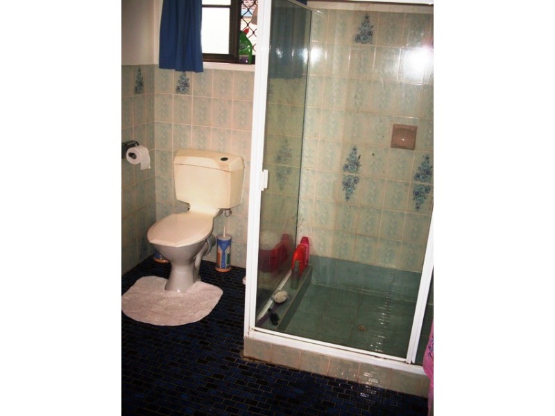 20  Bermagui Crescent, Buddina QLD 4575