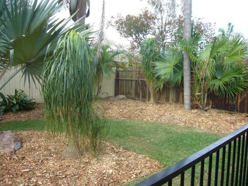 10 Undara Avenue, Buddina QLD 4575