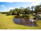110 Laxton Road, Palmview QLD 4553