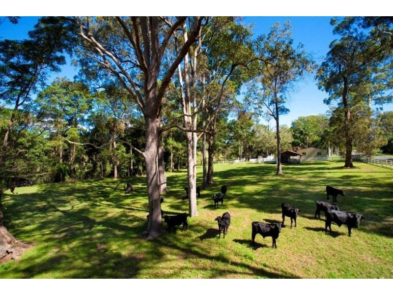 110 Laxton Road, Palmview QLD 4553