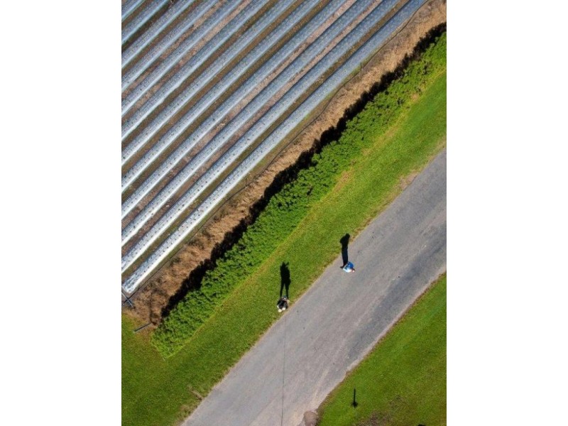 110 Laxton Road, Palmview QLD 4553