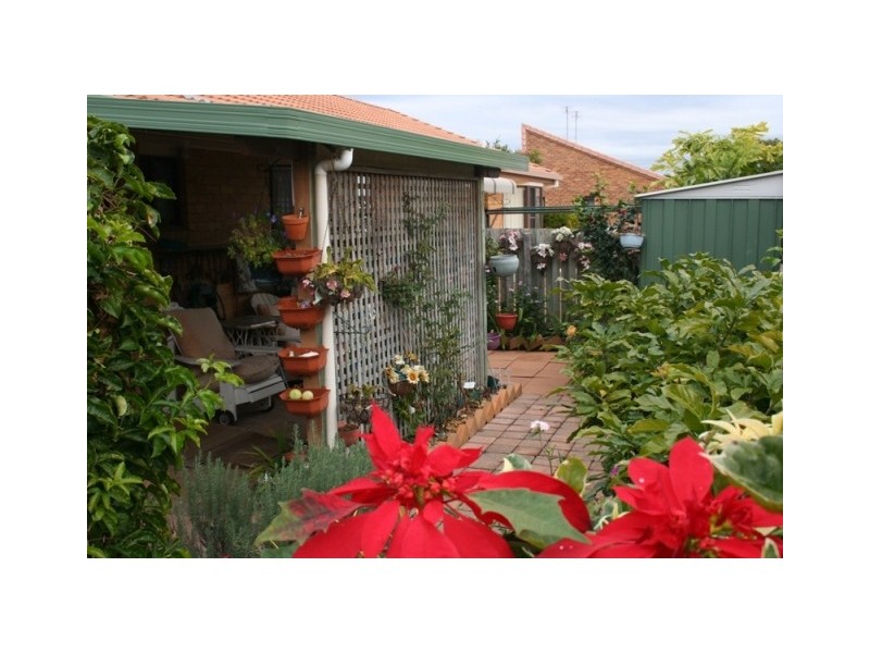 Unit 43 The Palms 10 Melody Court, Warana QLD 4575