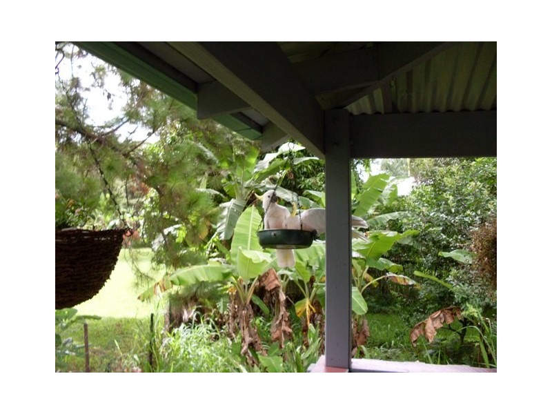 18 Anzac Road, Eudlo QLD 4554