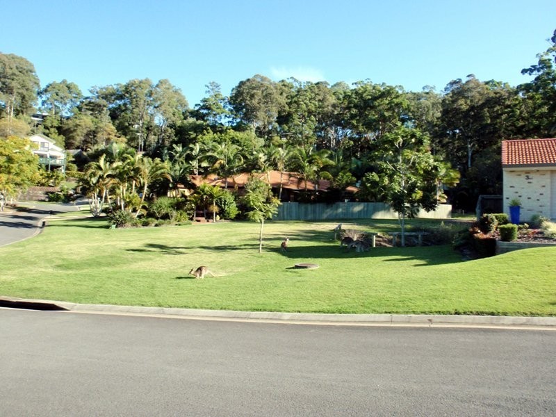 88 Gossamer Drive, Buderim QLD 4556