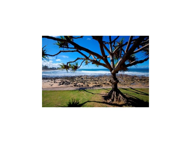 47 Yorlambu Parade, Maroochydore QLD 4558
