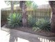 6 Bermagui Crescent, Buddina QLD 4575