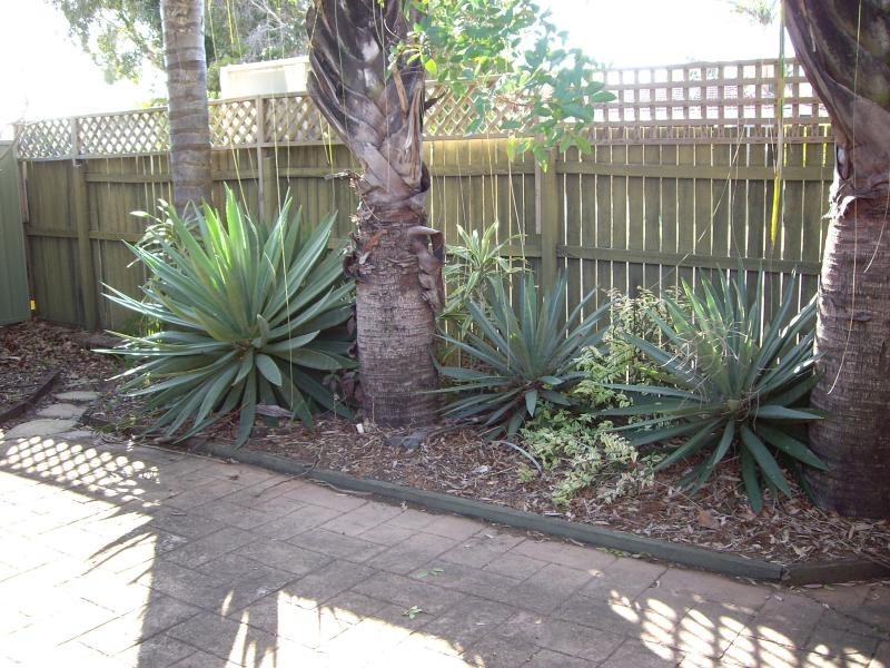 6 Bermagui Crescent, Buddina QLD 4575