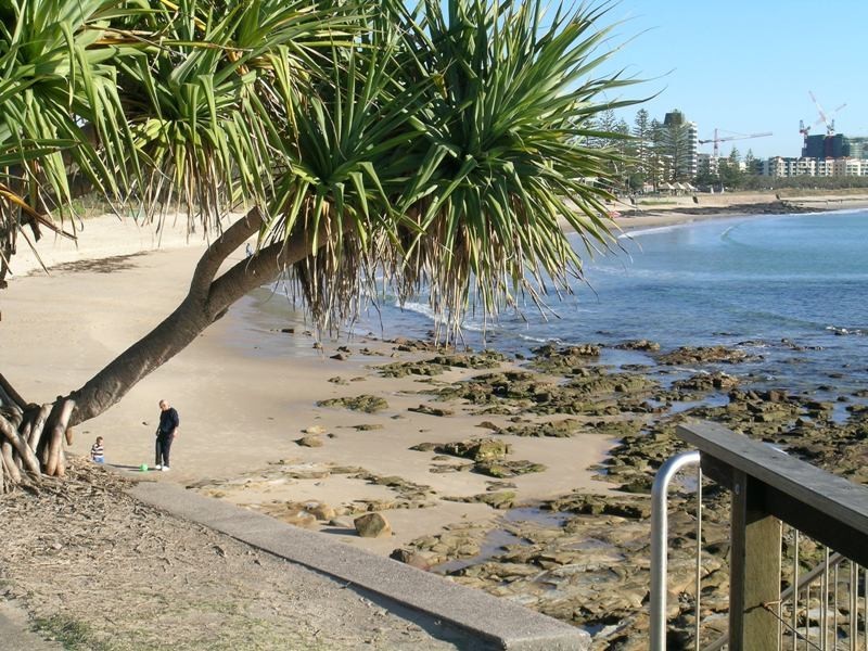 73 Okinja Road, Alexandra Headland QLD 4572