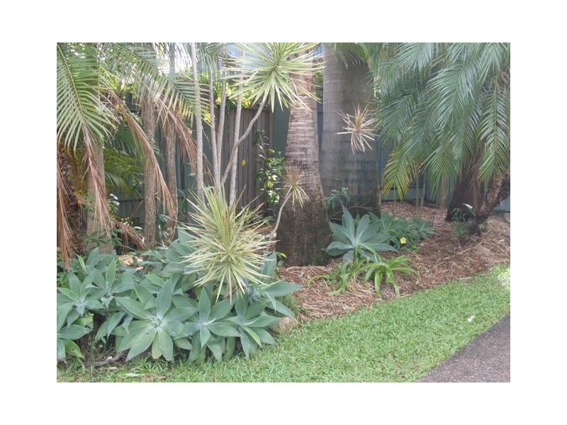 33 Palm Drive, Mooloolaba QLD 4557