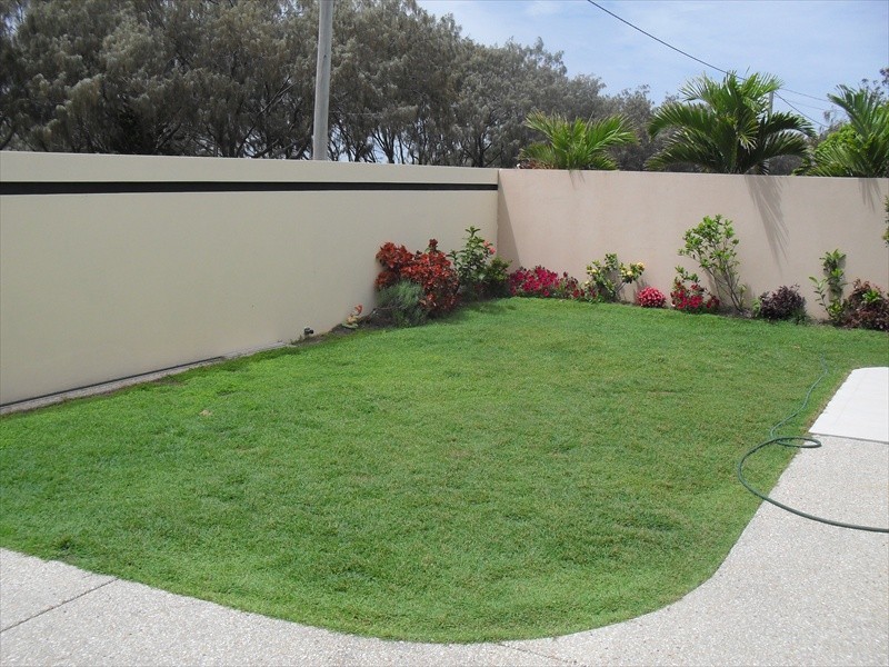 56 Pacific Boulevard, Buddina QLD 4575