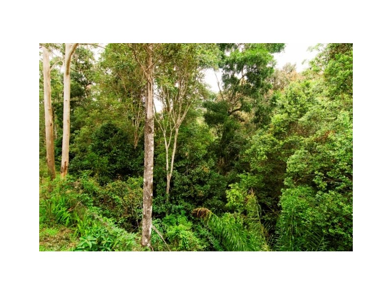 16 Loatta Court, Buderim QLD 4556