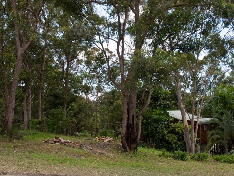 11 Eastview Court, Maroochy River QLD 4561