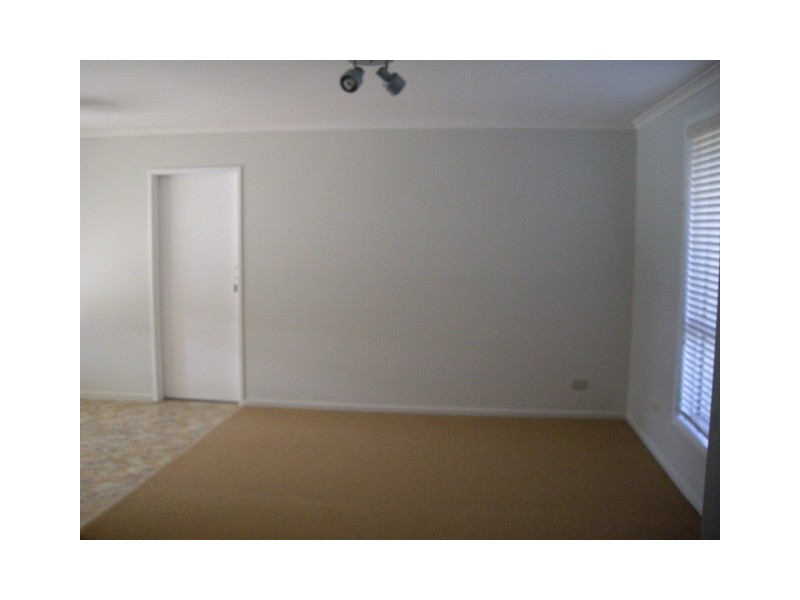 16 Orringa Street, Wurtulla QLD 4575