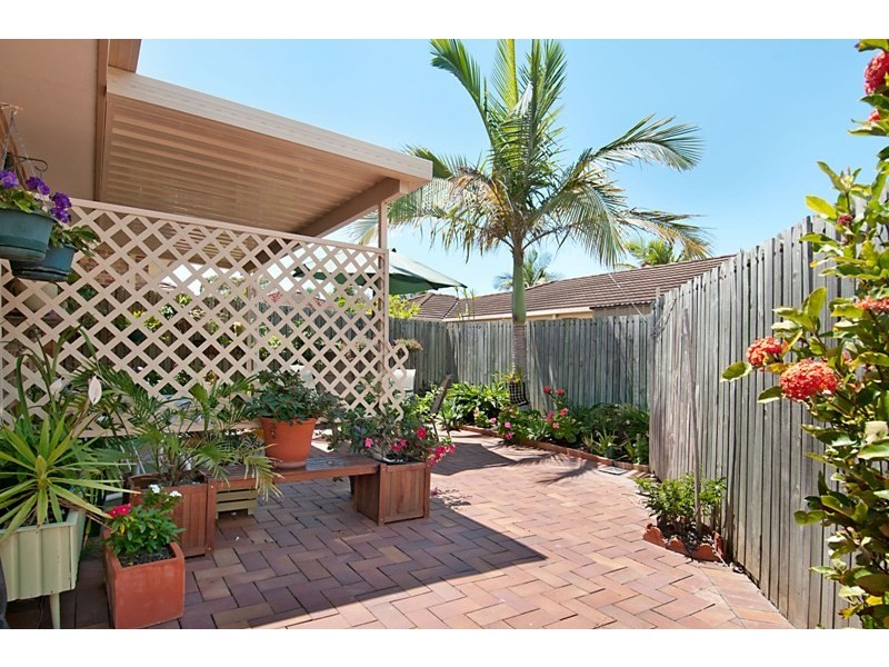 43 / 23 Blackwood Street, Maroochydore QLD 4558