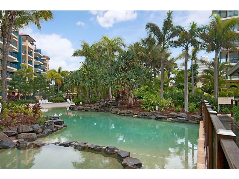 301 / 98 Alexandra Parade, Alexandra Headland QLD 4572