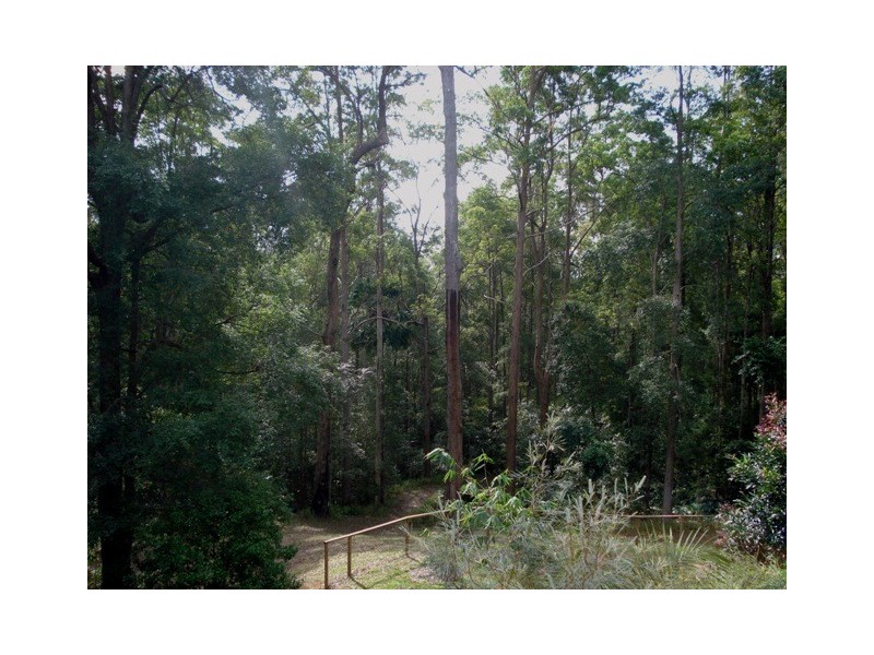 253 Ilkley Road, Ilkley QLD 4554