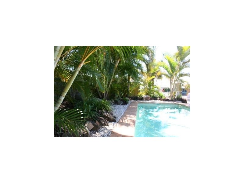 53 Buna Street, Maroochydore QLD 4558