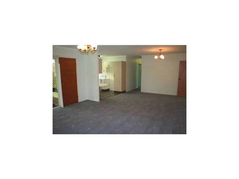 16 Undara Ave, Buddina QLD 4575