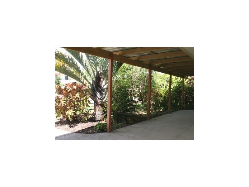 16 Undara Ave, Buddina QLD 4575