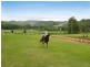 220 Diddillibah Road, Woombye QLD 4559