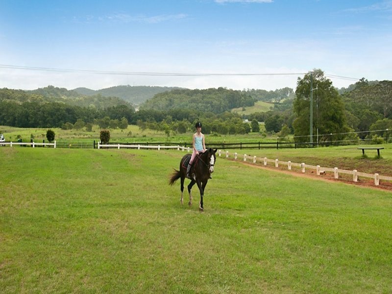 220 Diddillibah Road, Woombye QLD 4559