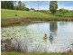 220 Diddillibah Road, Woombye QLD 4559