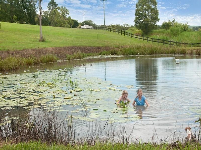 220 Diddillibah Road, Woombye QLD 4559