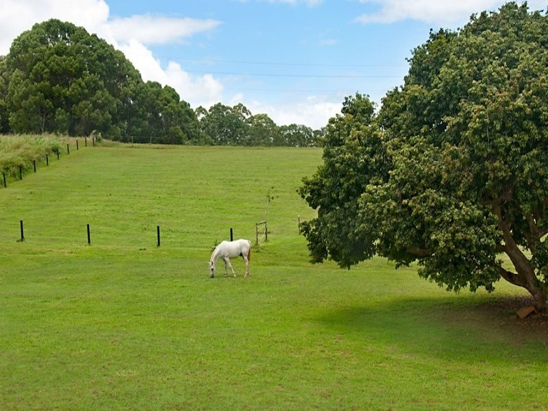 220 Diddillibah Road, Woombye QLD 4559