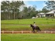 220 Diddillibah Road, Woombye QLD 4559