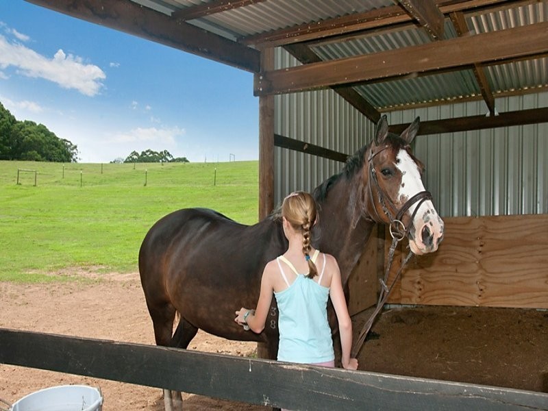 220 Diddillibah Road, Woombye QLD 4559