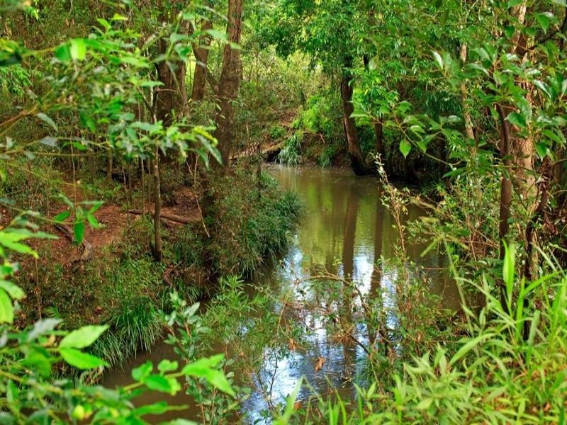 72 Willandra Place, Kureelpa QLD 4560