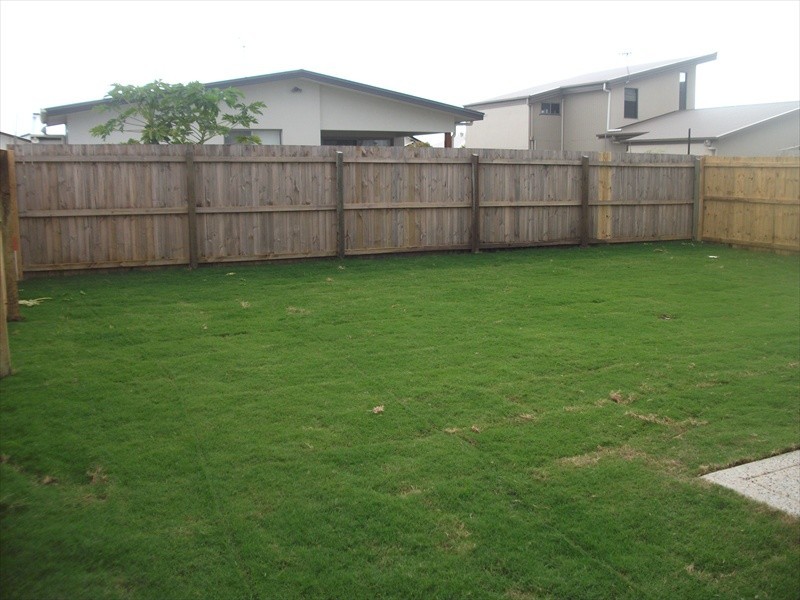 3 Tiller Street, Wurtulla QLD 4575